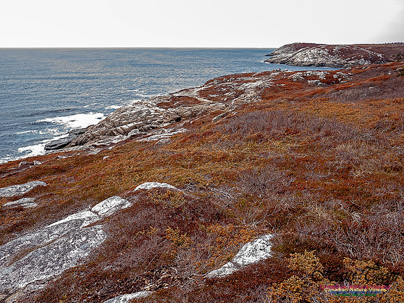 Coastal Nova Scotia 207