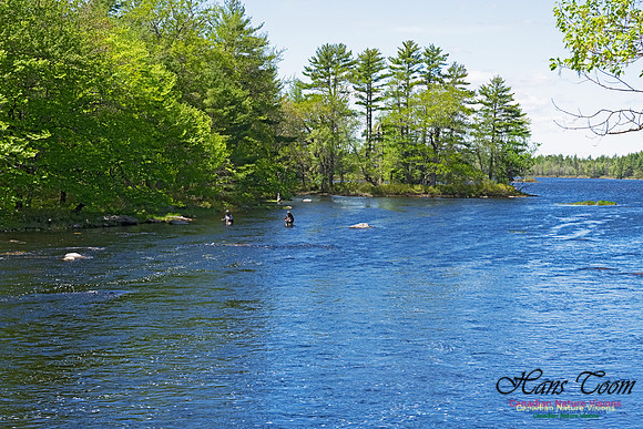 Fly Fishing 100