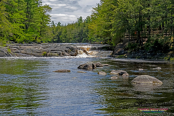 Mill Falls 100