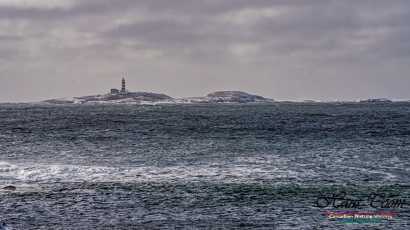 Nova Scotia Winter 316