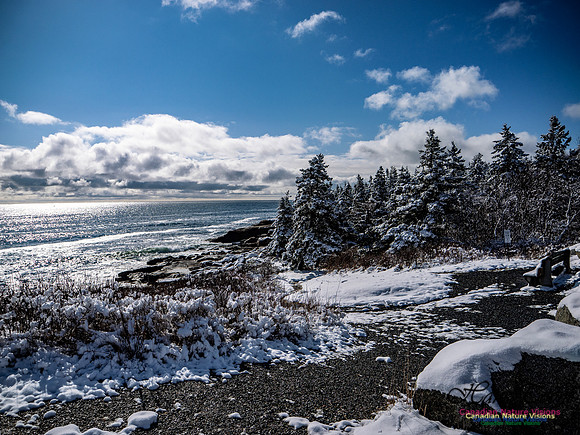 April Snow in Nova Scotia 226