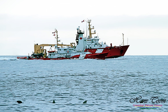 CCGS Samuel Risley and CCGS Peddle 1