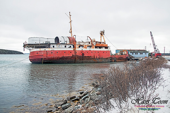 CCGS at Life's End 1