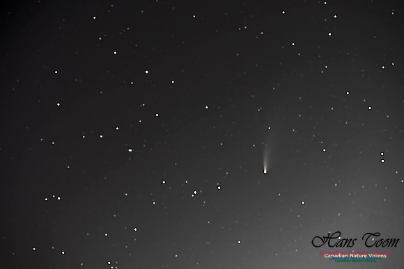 Comet Neowise 3