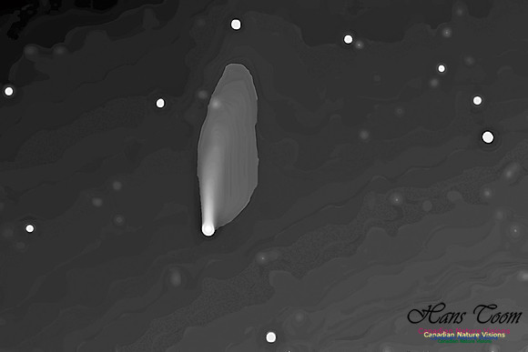 Comet Neowise .50