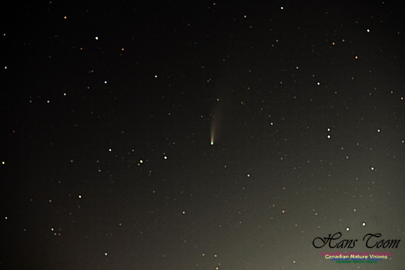 Comet Neowise 1