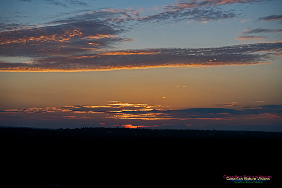 Shoal Point Sunset 100