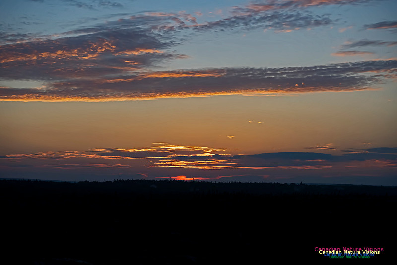 Shoal Point Sunset 100