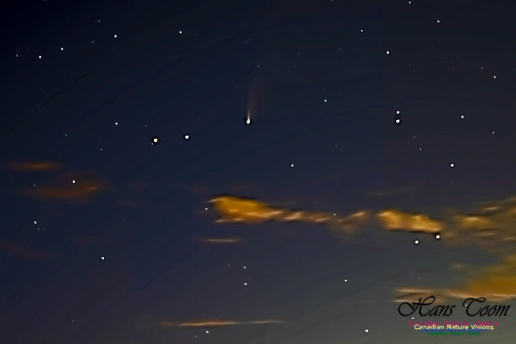 Comet Neowise 204