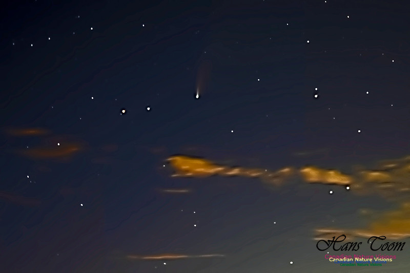 Comet Neowise 204