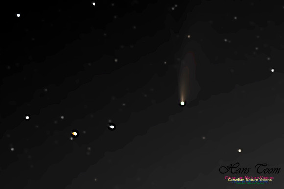 Comet Neowise 202
