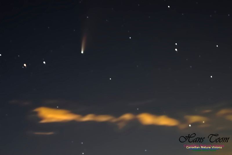 Comet Neowise 205
