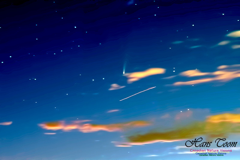 Comet Neowise 208
