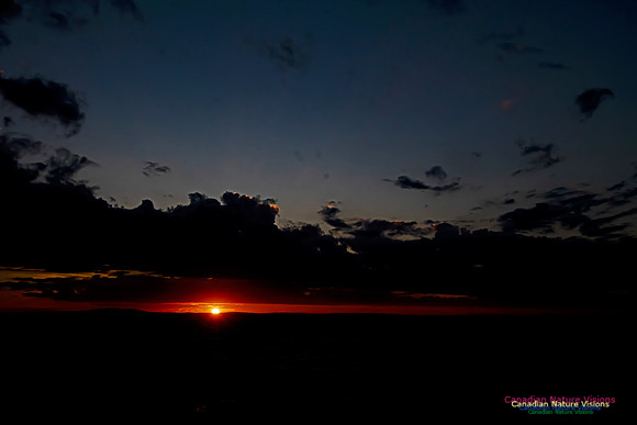 Peggy's Cove Sunset 2020-402