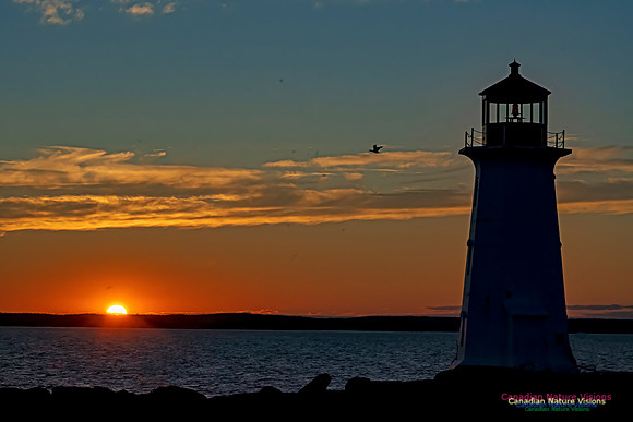 Peggy's Cove Light at Sunset 504