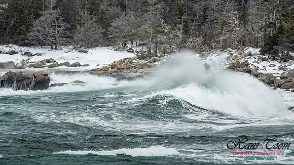 February 17 Gale 120