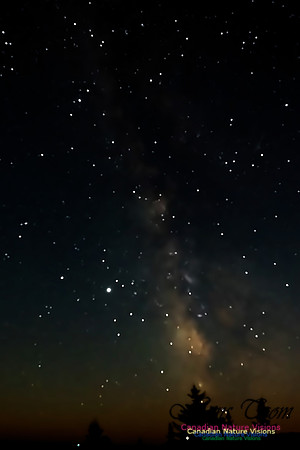 Milky Way 102