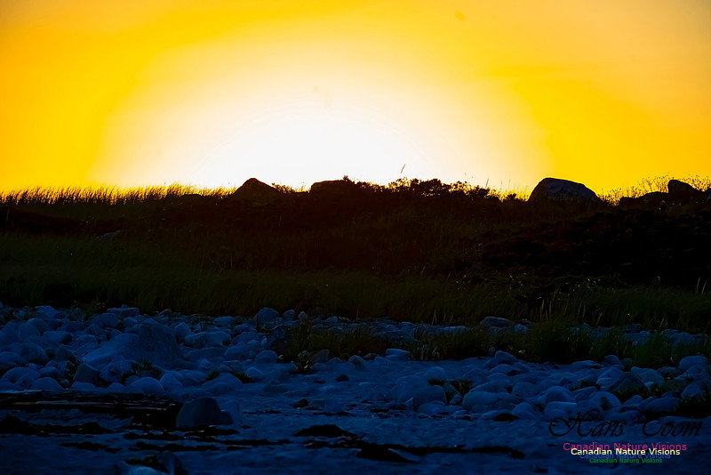 Sunset Crystal Crescent Beach 100
