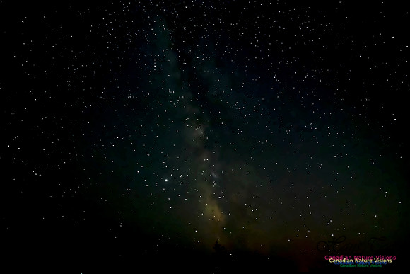 Milky Way 201