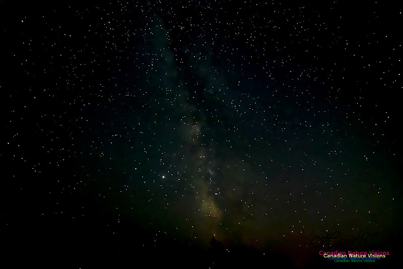 Milky Way 201