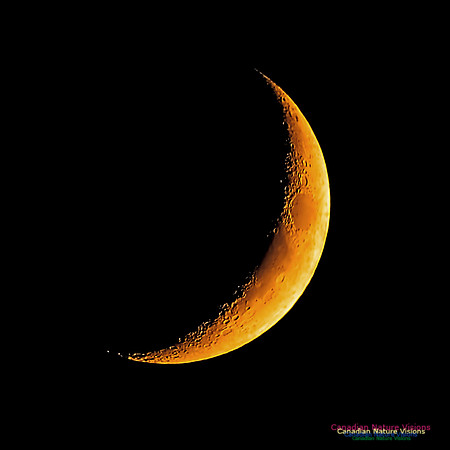 Crescent Moon 102