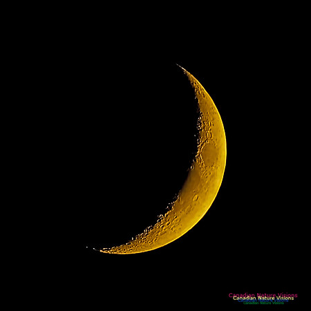 Crescent Moon 101