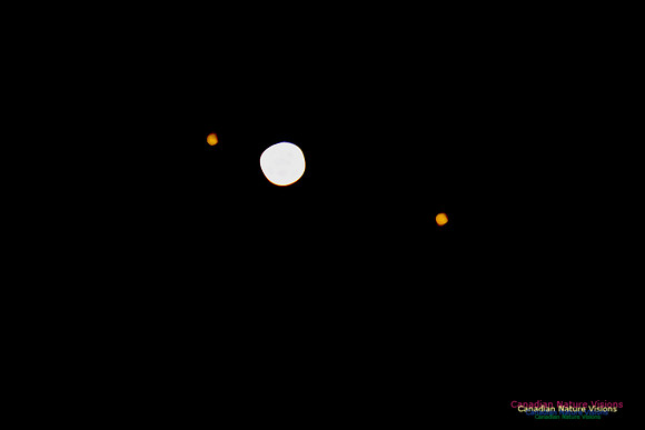 Jupiter and Moons 100