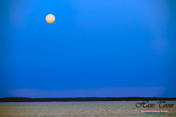 Smoky Sun Before Sunset 100