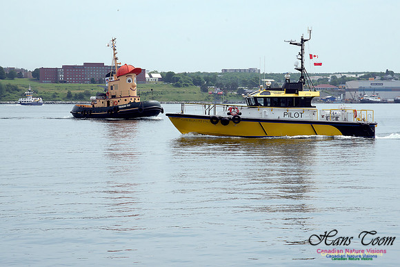 Chebucto Pilot