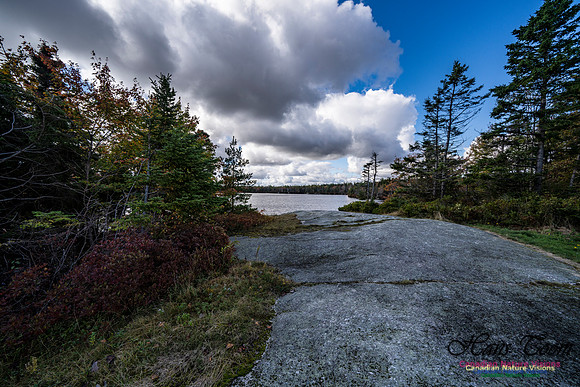 Sambro Loop 116