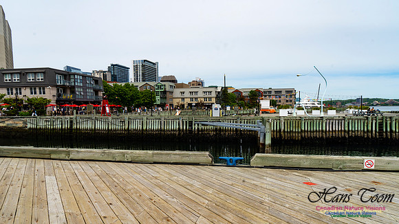 Halifax Waterfront Stroll 130