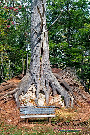 Smiley's Provincial Park Walk 102