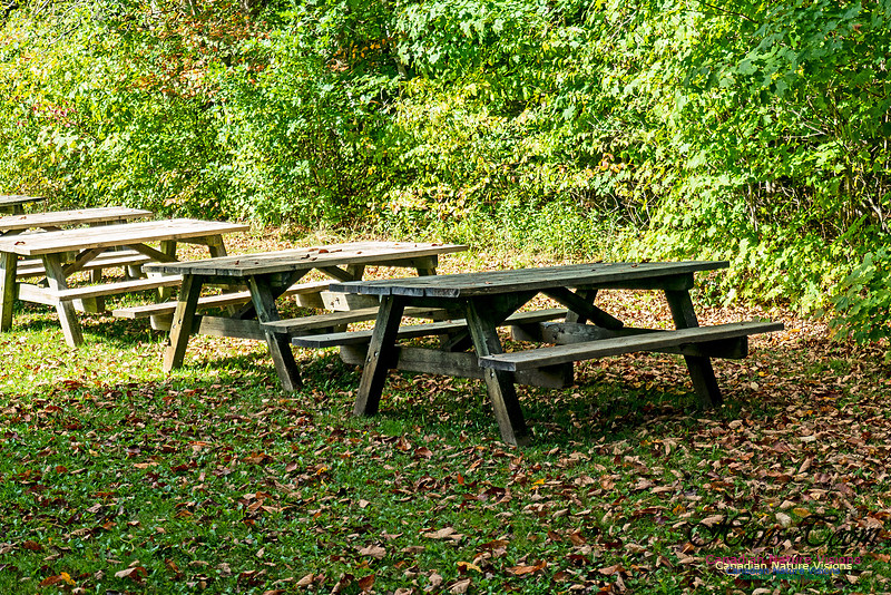 Smiley's Provincial Park Walk 103