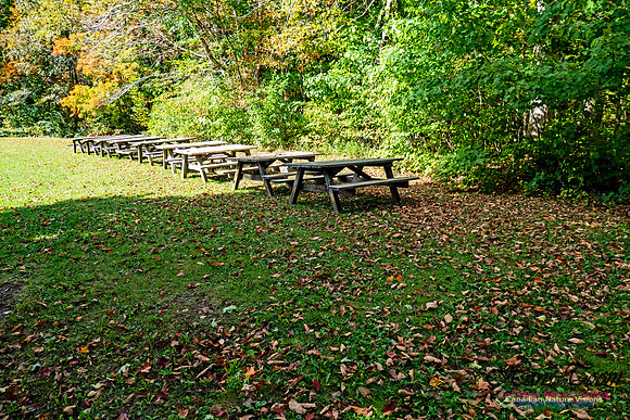 Smiley's Provincial Park Walk 104