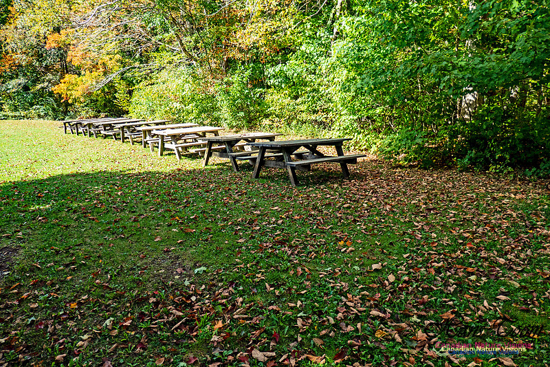 Smiley's Provincial Park Walk 104