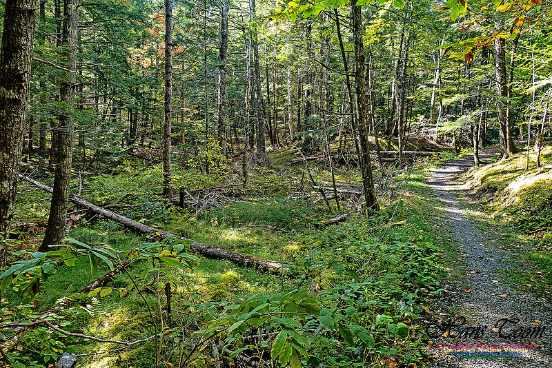 Smiley's Provincial Park Walk 107