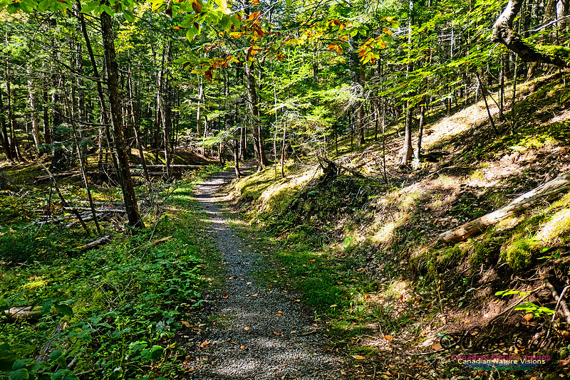Smiley's Provincial Park Walk 108