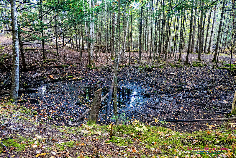 Smiley's Provincial Park Walk 113