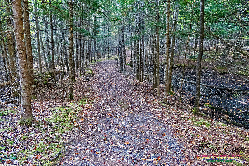 Smiley's Provincial Park Walk 114