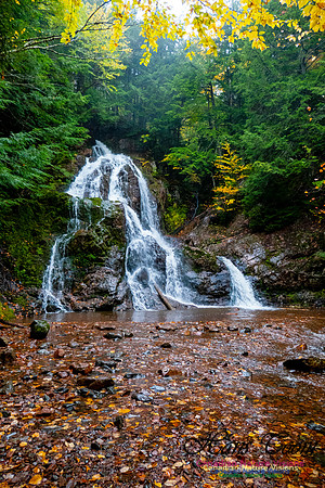 Wentworth Falls Fall Colours 103