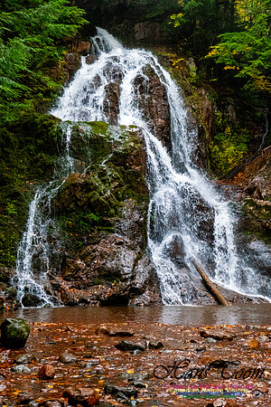 Wentworth Falls Fall Colours 102