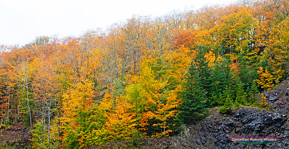 Fall Colours 2020-3