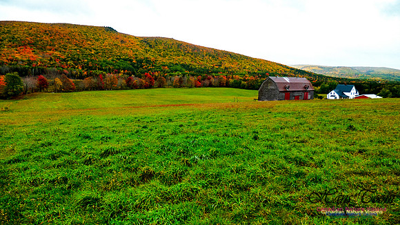 Fall Colours 2020-15