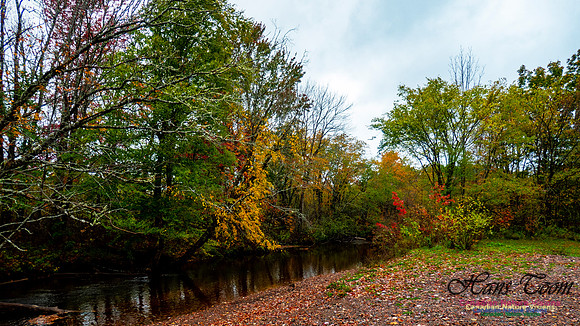 Fall Colours 2020-18