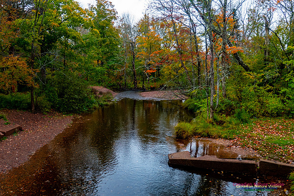 Fall Colours 2020-21