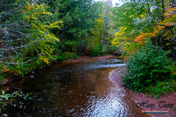 Fall Colours 2020-22