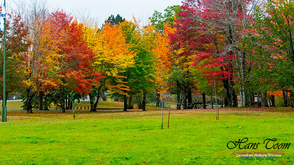Fall Colours 2020-23