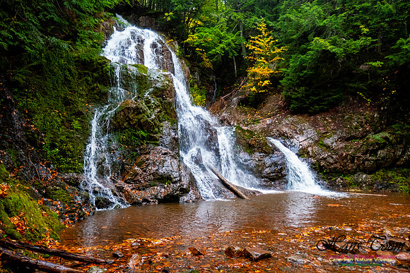 Wentworth Falls Fall Colours 100