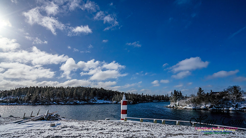 Nova Scotia Winter 313