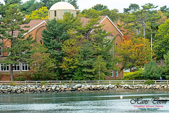 Nova Scotia in October 21